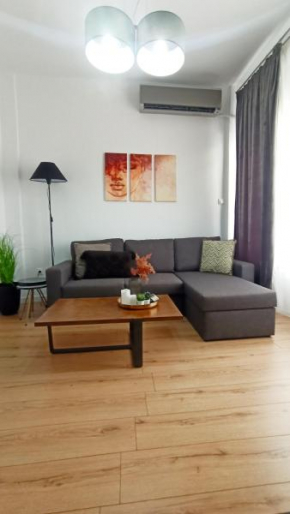 DOWN TOWN Luxurious Apartments (3)
